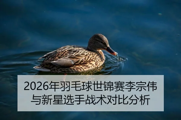 nian-yu-mao-qiu-shi-jin-sai-li-zong-wei-yu-xin-xing-xuan-shou-zhan-shu-dui-bi-fen-xi-1-531.jpg