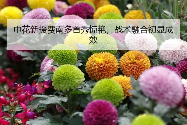 shen-hua-xin-yuan-fei-nan-duo-shou-xiu-jing-yan-zhan-shu-rong-he-chu-xian-cheng-xiao-2-808.jpg