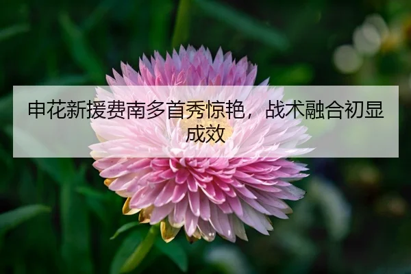 shen-hua-xin-yuan-fei-nan-duo-shou-xiu-jing-yan-zhan-shu-rong-he-chu-xian-cheng-xiao-3-348.jpg