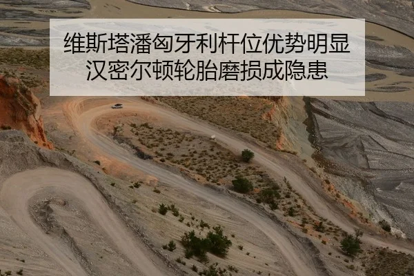 维斯塔潘匈牙利杆位优势明显 汉密尔顿轮胎磨损成隐患