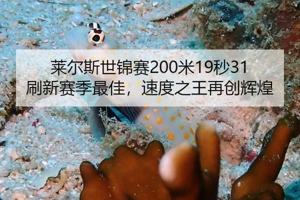莱尔斯世锦赛200米19秒31刷新赛季最佳，速度之王再创辉煌